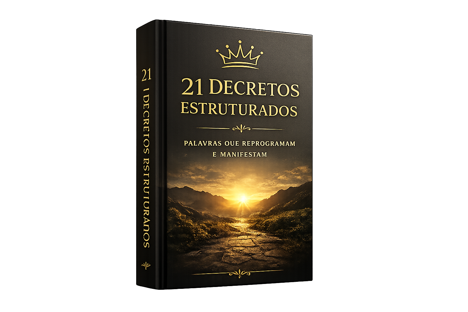 Box dos 21 Decretos Estruturados do Protocolo da Virada.